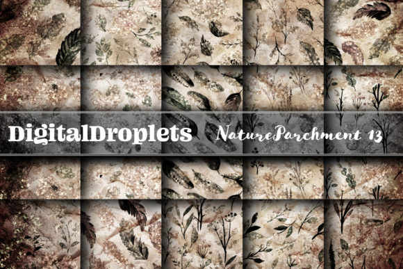Nature Parchment Vol. 13: Elevate Your Designs with Textured Elegance