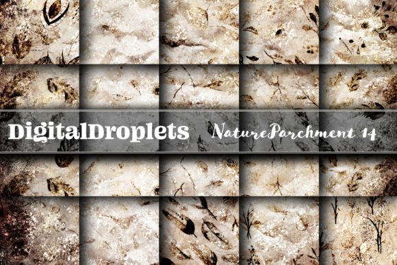 Nature Parchment Vol. 14: Gothic & Vintage Design Textures