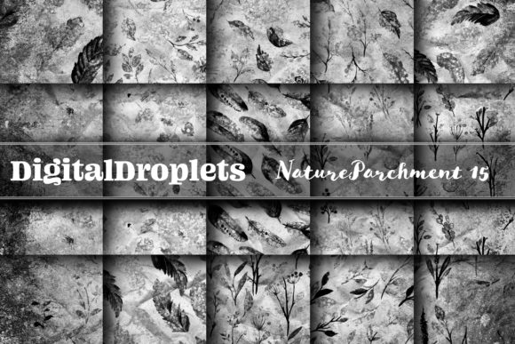 Nature Parchment Vol. 15: Bold Textured Design Assets